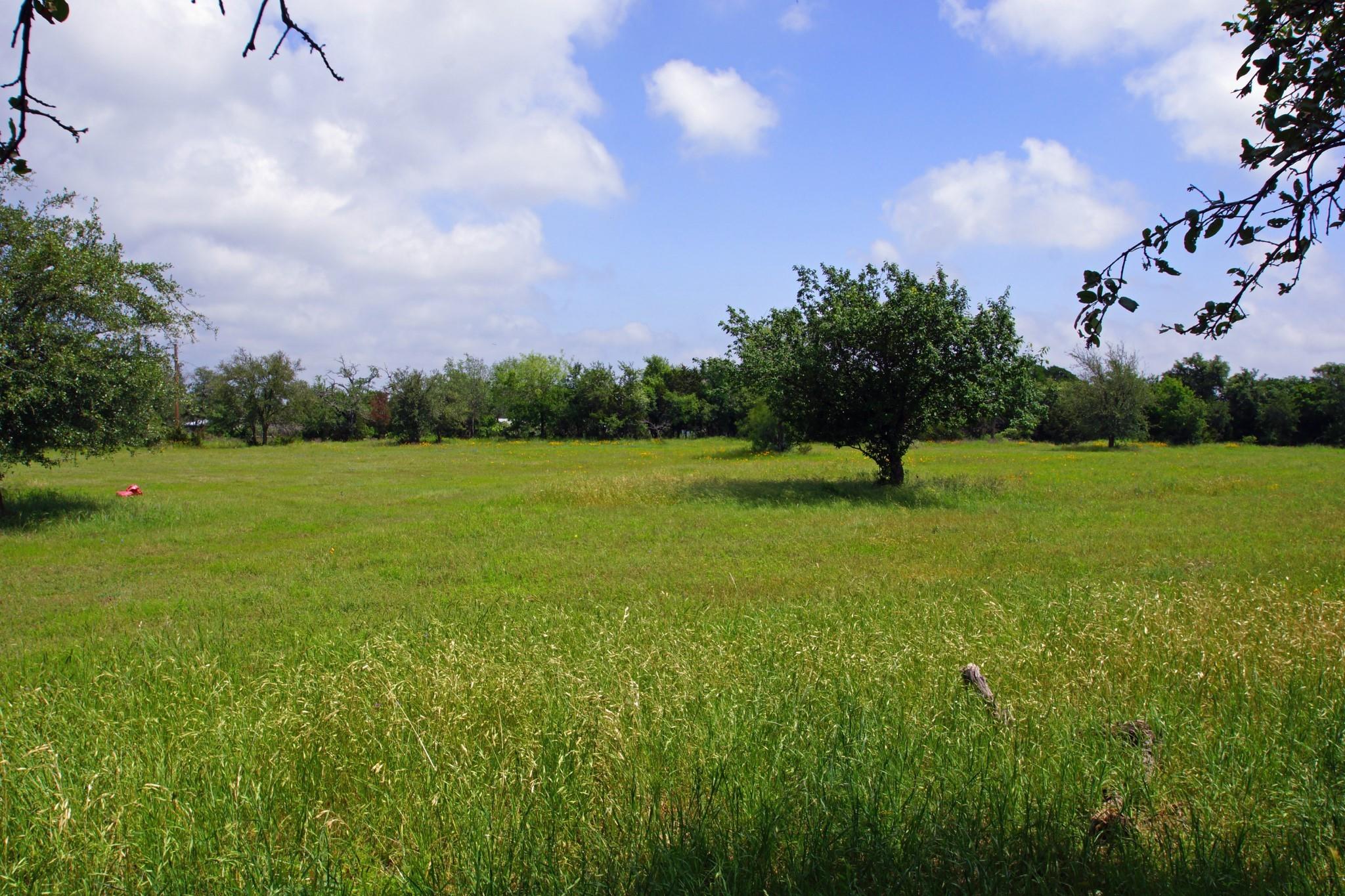 350 Apache Springs RD, Briggs, TX 78608 photo 2