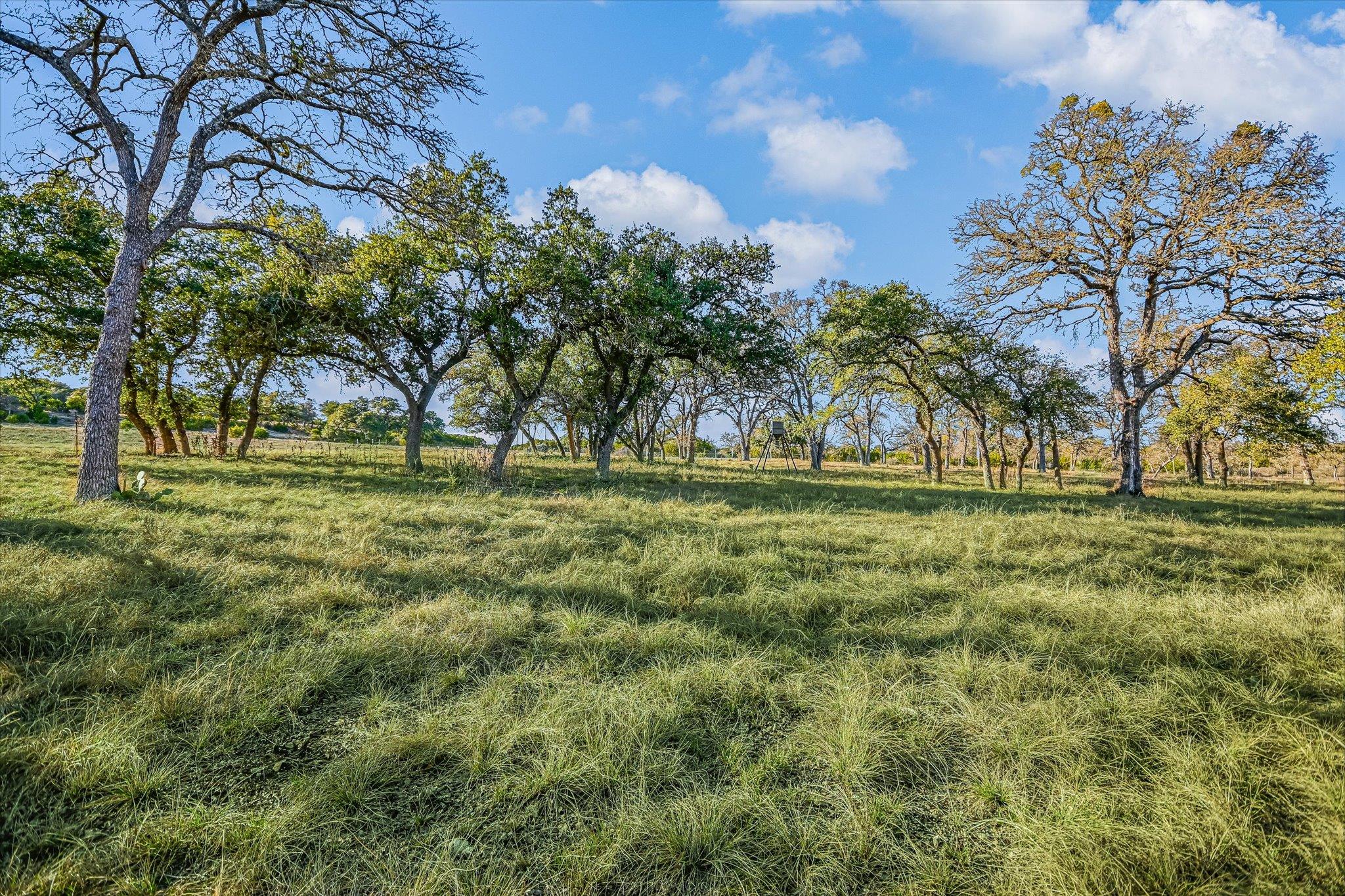 4698 FISCHER STORE RD, Wimberley, TX 78676 photo 5