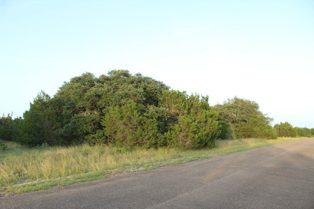 Lot-194 Whitewater Drive DR, Bertram, TX 78605 photo 2