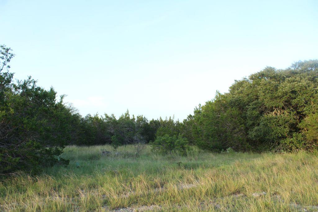 Lot-194 Whitewater Drive DR, Bertram, TX 78605 photo 5