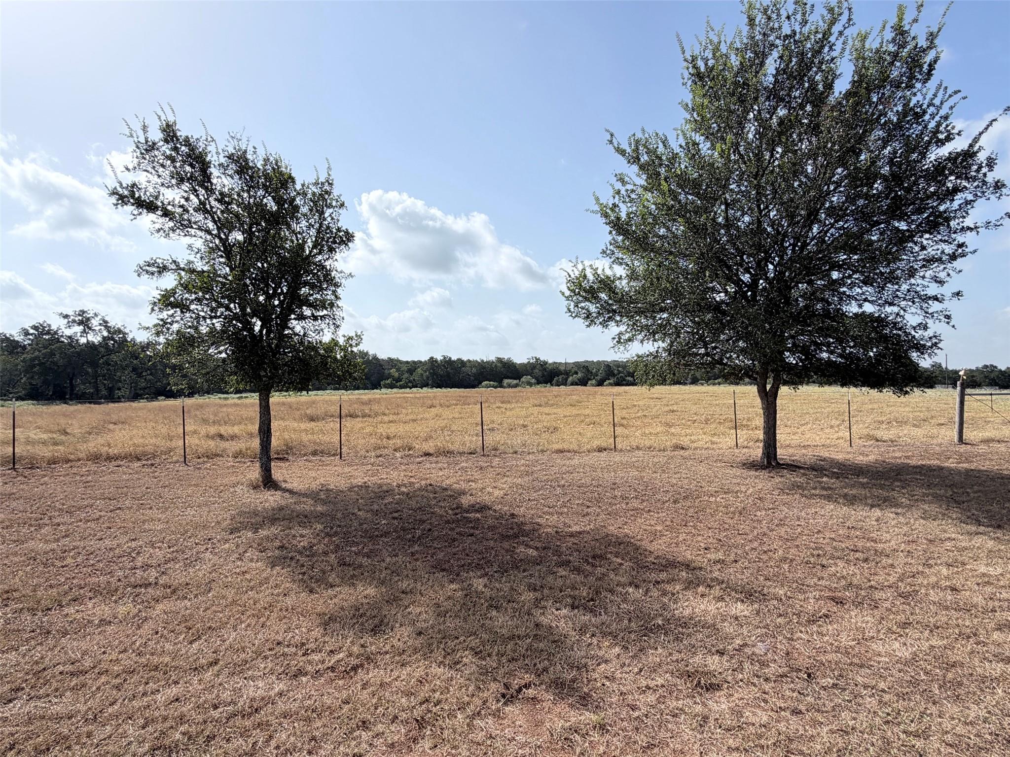 499 Mount Pleasant RD #A, Cedar Creek, TX 78612 photo 4