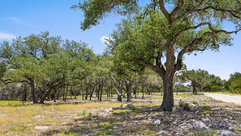 Tract 5 Cypress Cove RD, Spring Branch, TX 78070 photo 2