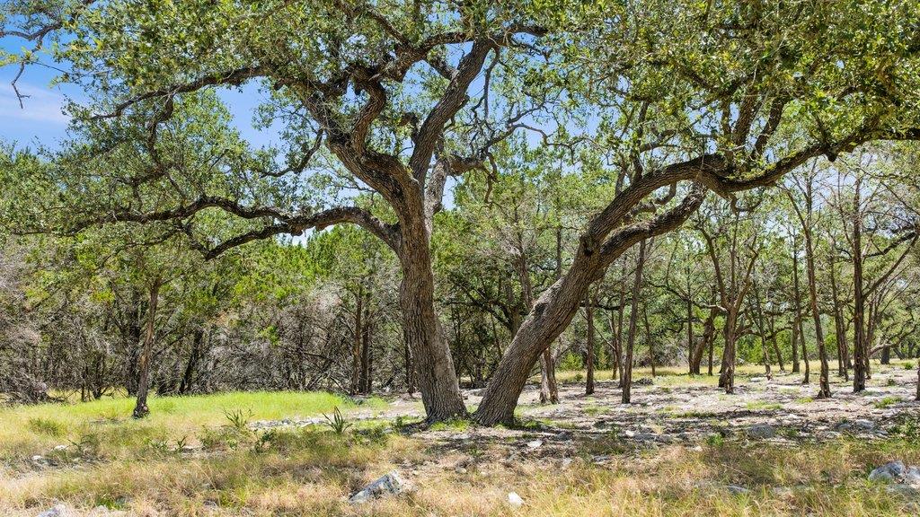 Tract 5 Cypress Cove RD, Spring Branch, TX 78070 photo 3