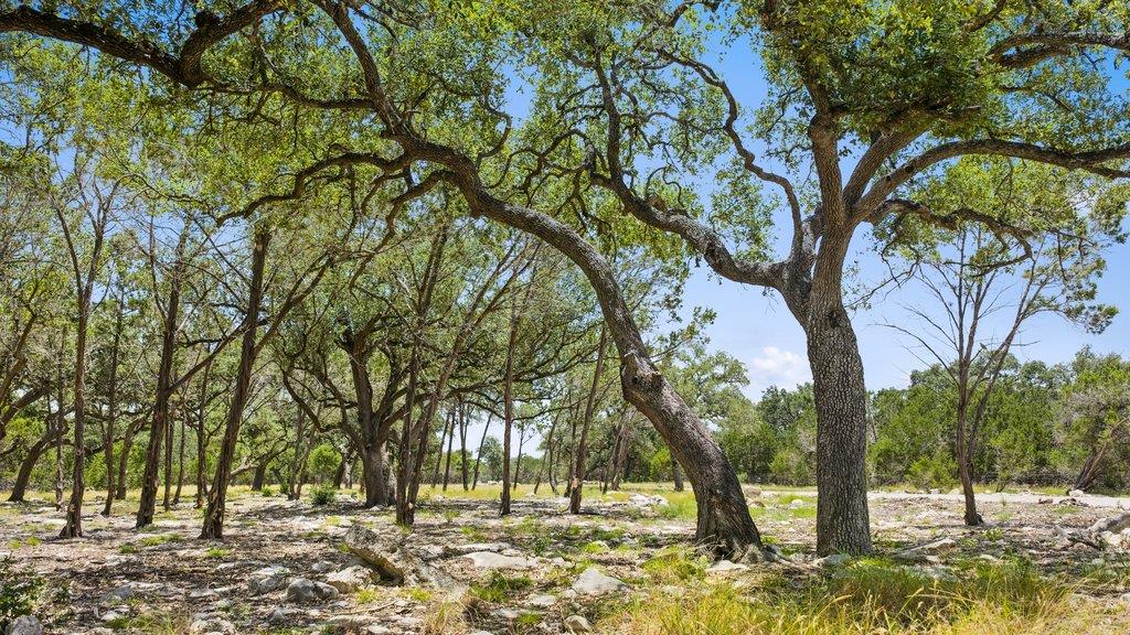 Tract 5 Cypress Cove RD, Spring Branch, TX 78070 photo 4