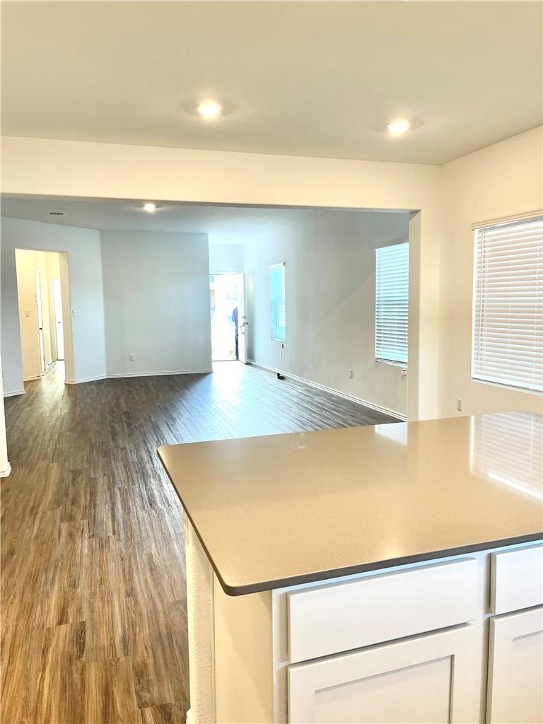 101 Blue Blaze TRL, Georgetown, TX 78628 photo 5