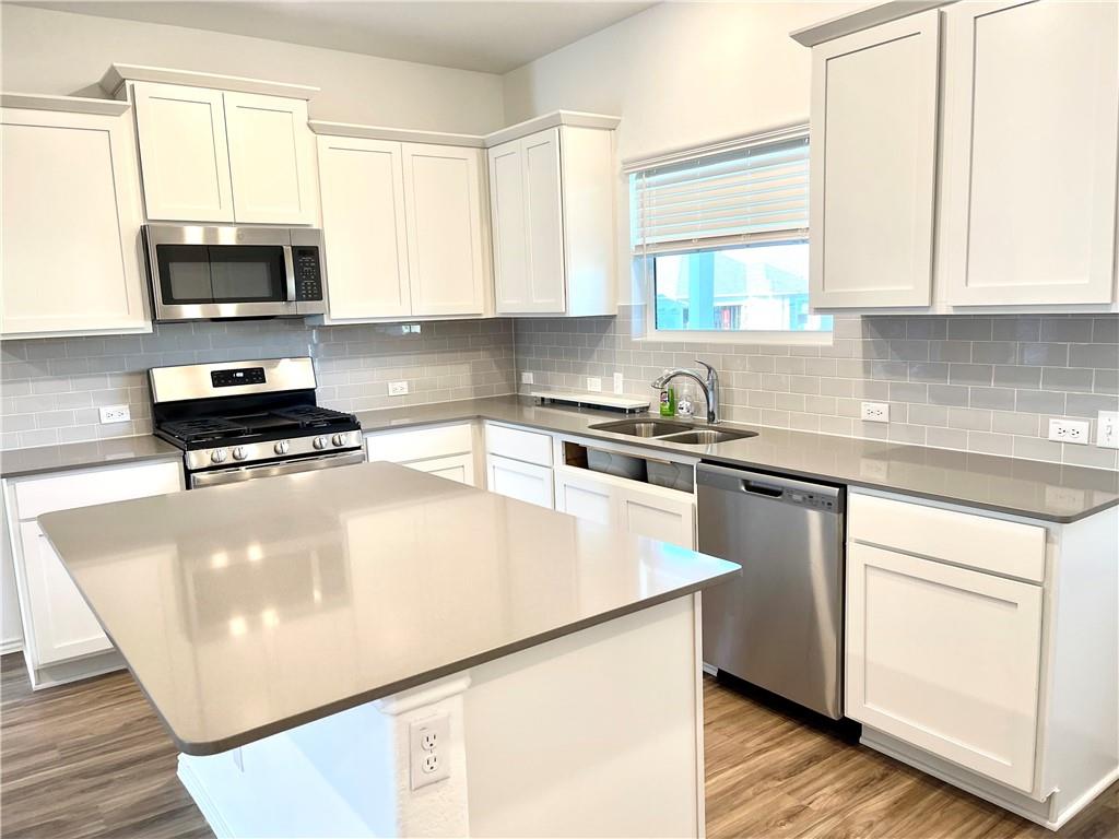 101 Blue Blaze TRL, Georgetown, TX 78628 photo 4