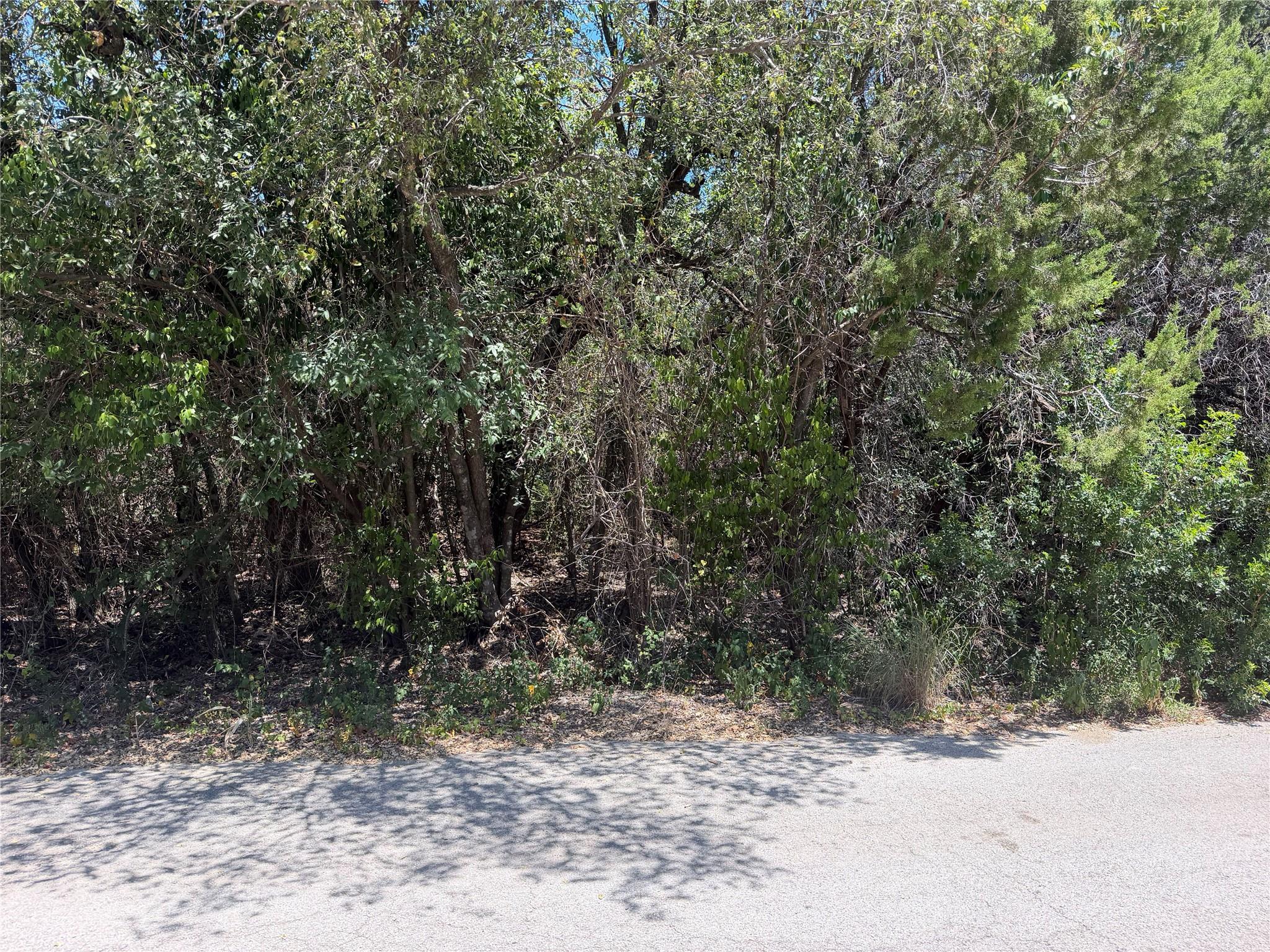 TBD Great Eagle TRL, Austin, TX 78734 photo 4