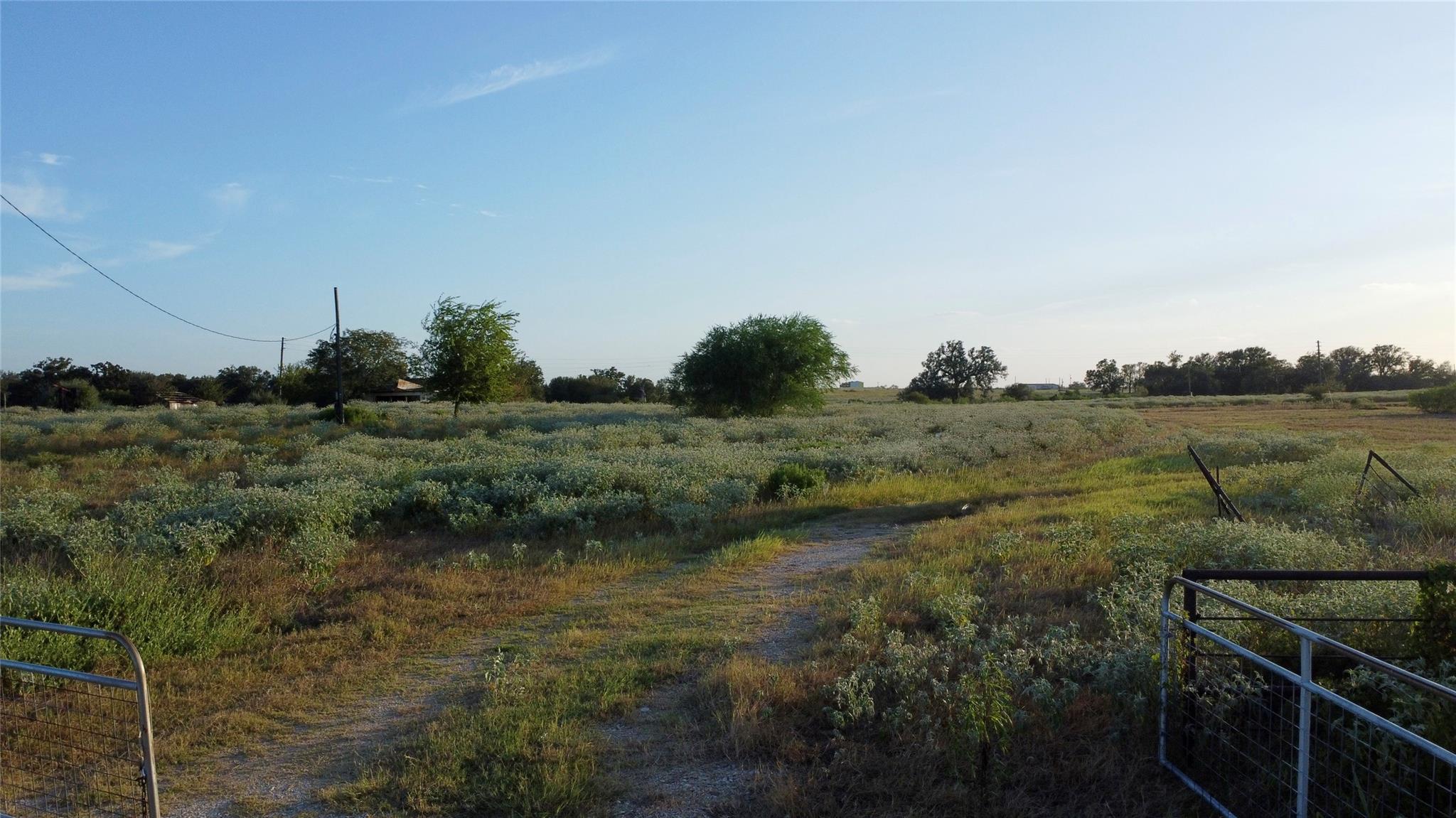 Woodrow Ranch