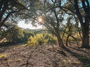 Lot 7 Rifle Ridge, Burnet, TX 78611 photo 3