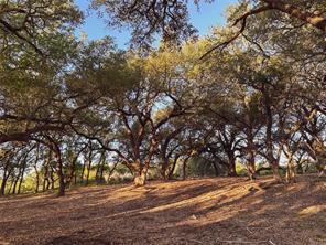 Lot 7 Rifle Ridge, Burnet, TX 78611 photo 4