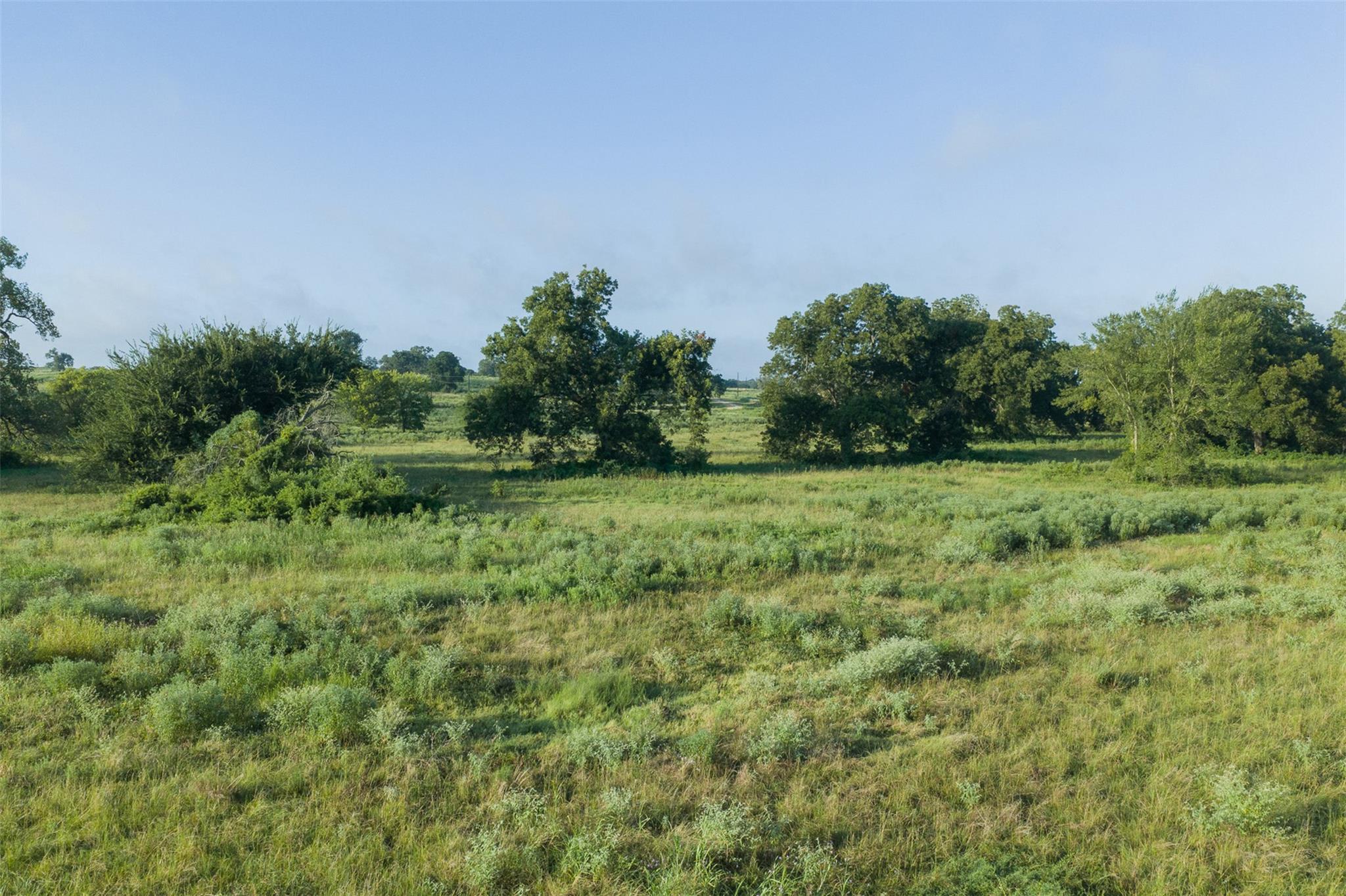 TBD LCR 721, Thornton, TX 76653 photo 3
