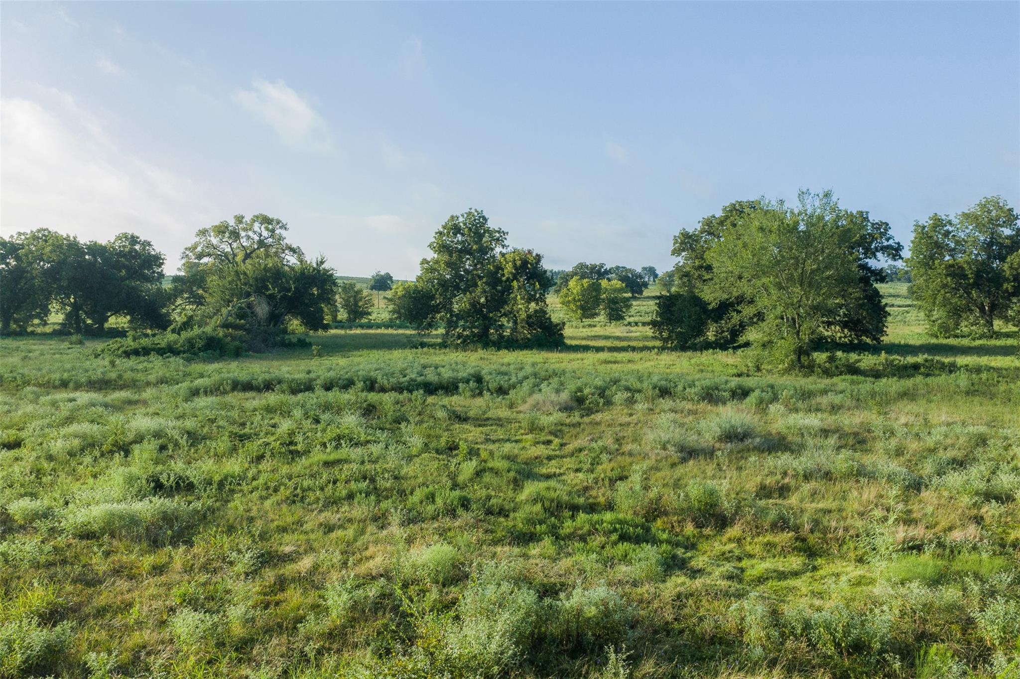 TBD LCR 721, Thornton, TX 76653 photo 4