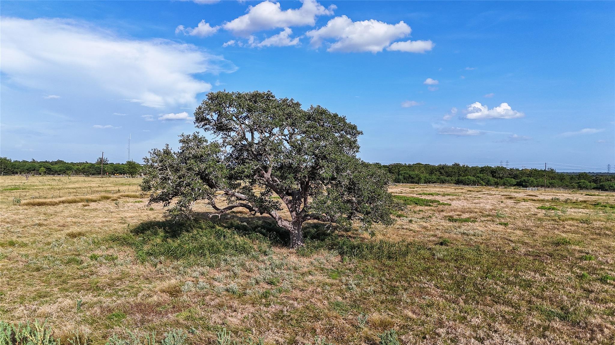 2171 Highway 237, Round Top, TX 78954 photo 5