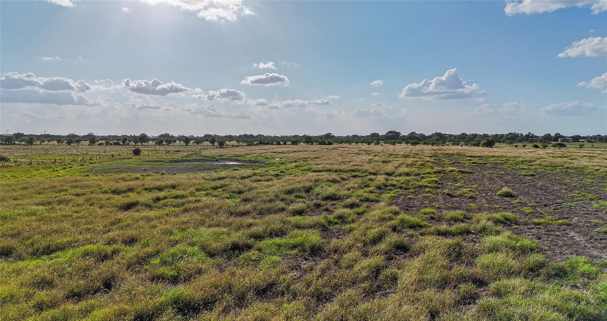 2171 Highway 237, Round Top, TX 78954 photo 4