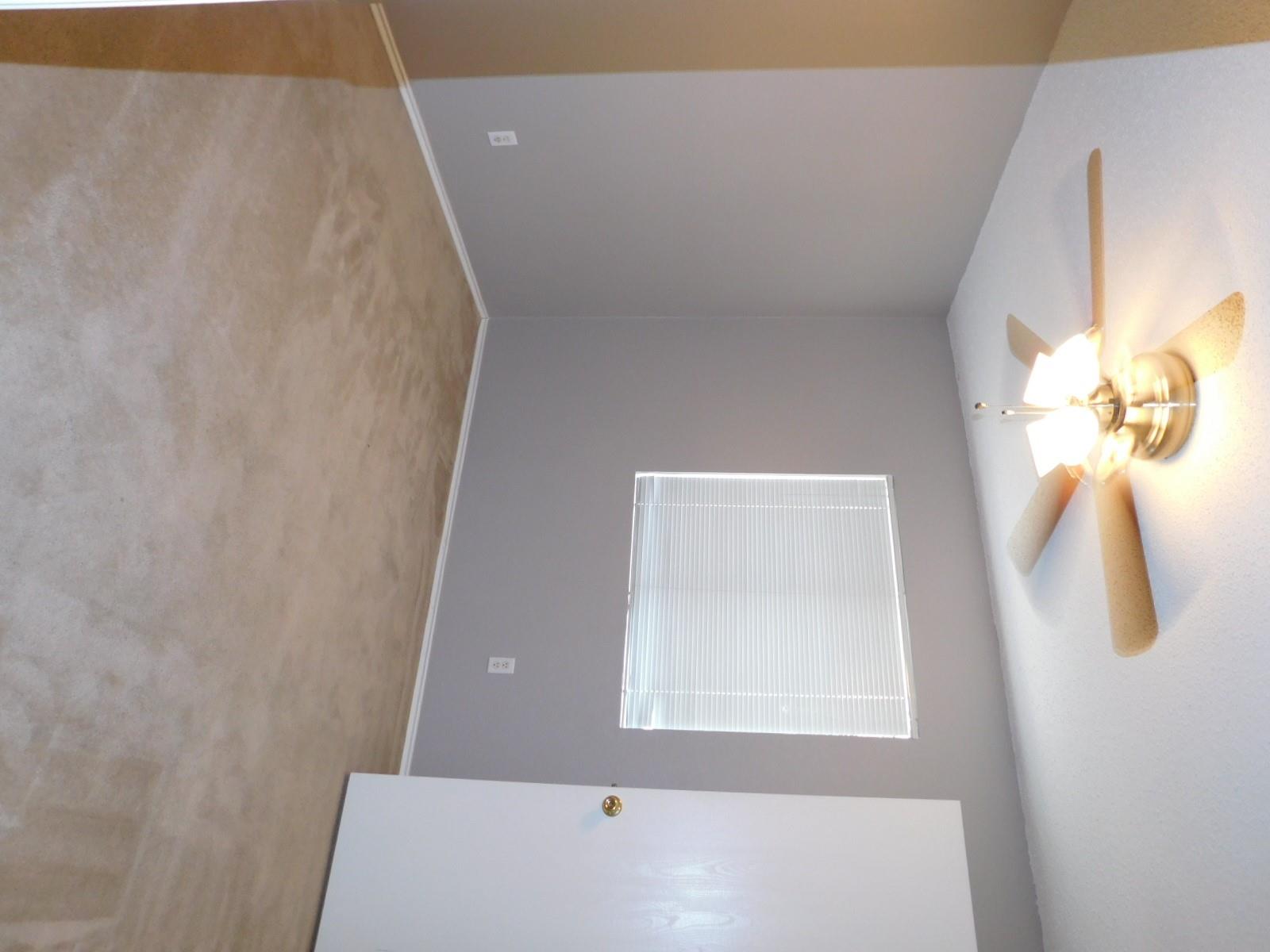 1509 Black Locust DR, Pflugerville, TX 78660 photo 3