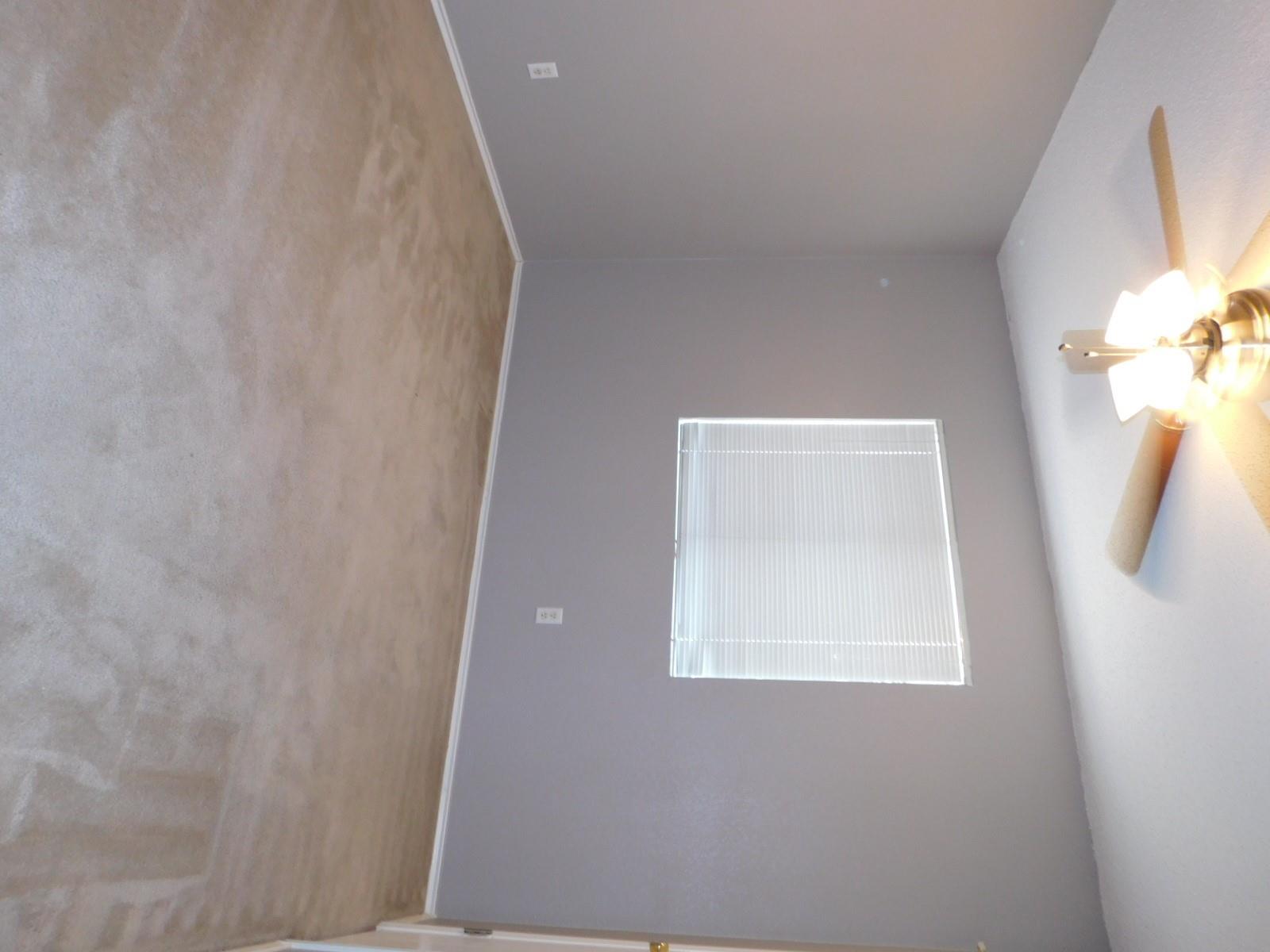 1509 Black Locust DR, Pflugerville, TX 78660 photo 4
