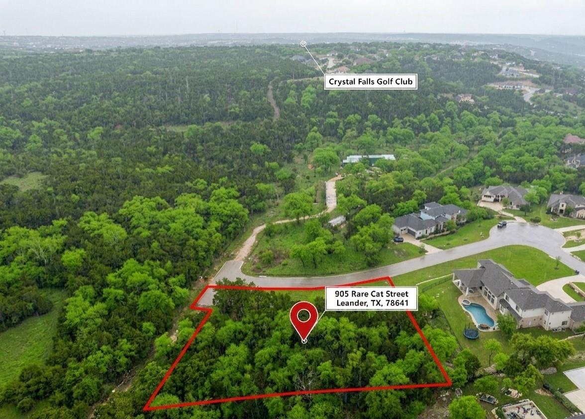 905 Rare Cat ST, Leander, TX 78641 photo 4