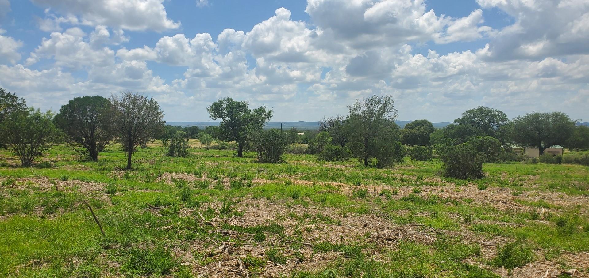 Lehne Ranch