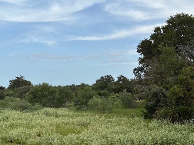 Lot #1 Willis Ln LN, Smithville, TX 78957 photo 3
