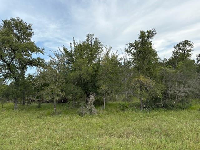Lot #1 Willis Ln LN, Smithville, TX 78957 photo 5
