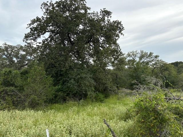 Lot #1 Willis Ln LN, Smithville, TX 78957 photo 4