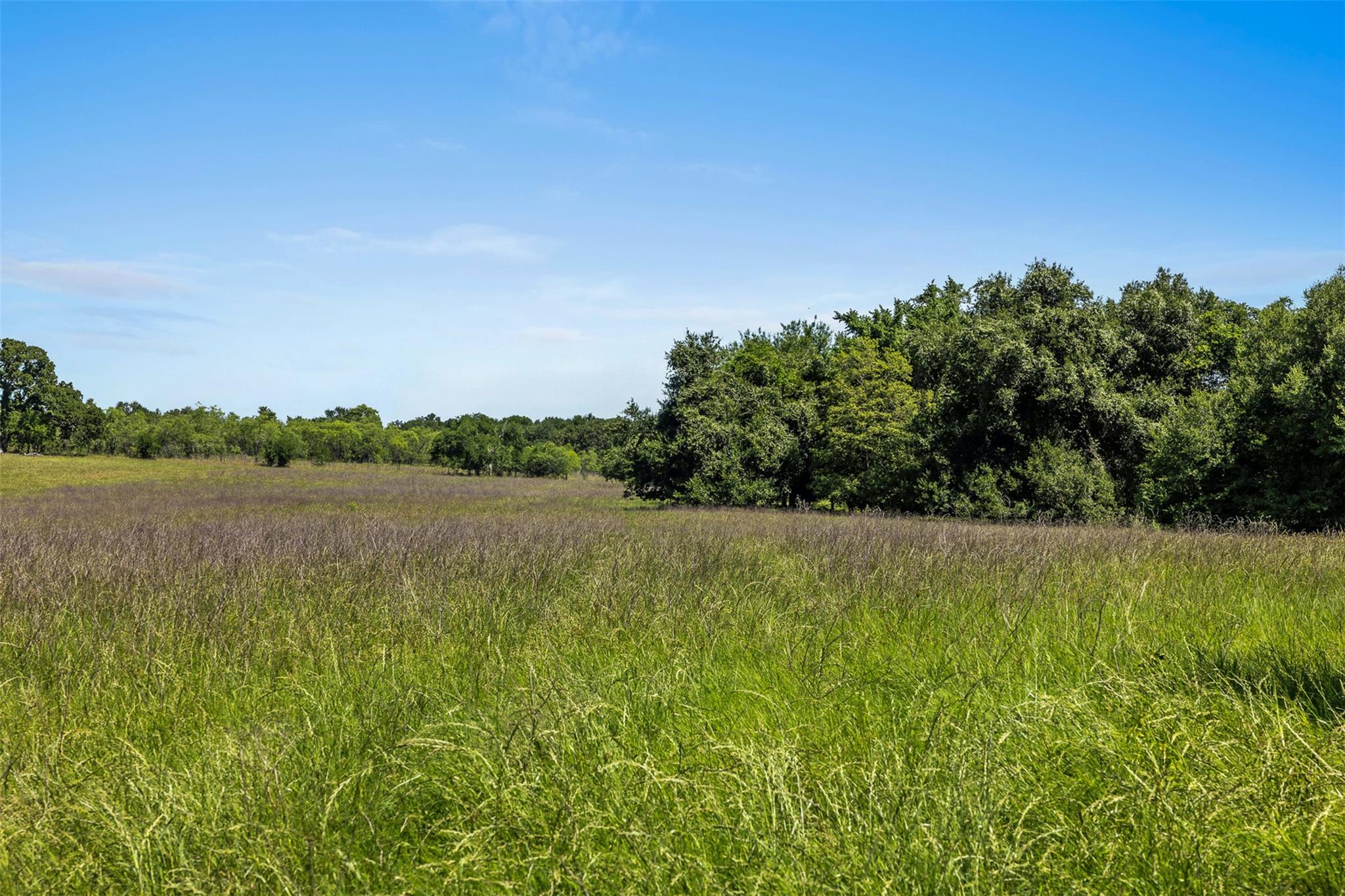 TBD CR 270, Cameron, TX 76520 photo 3