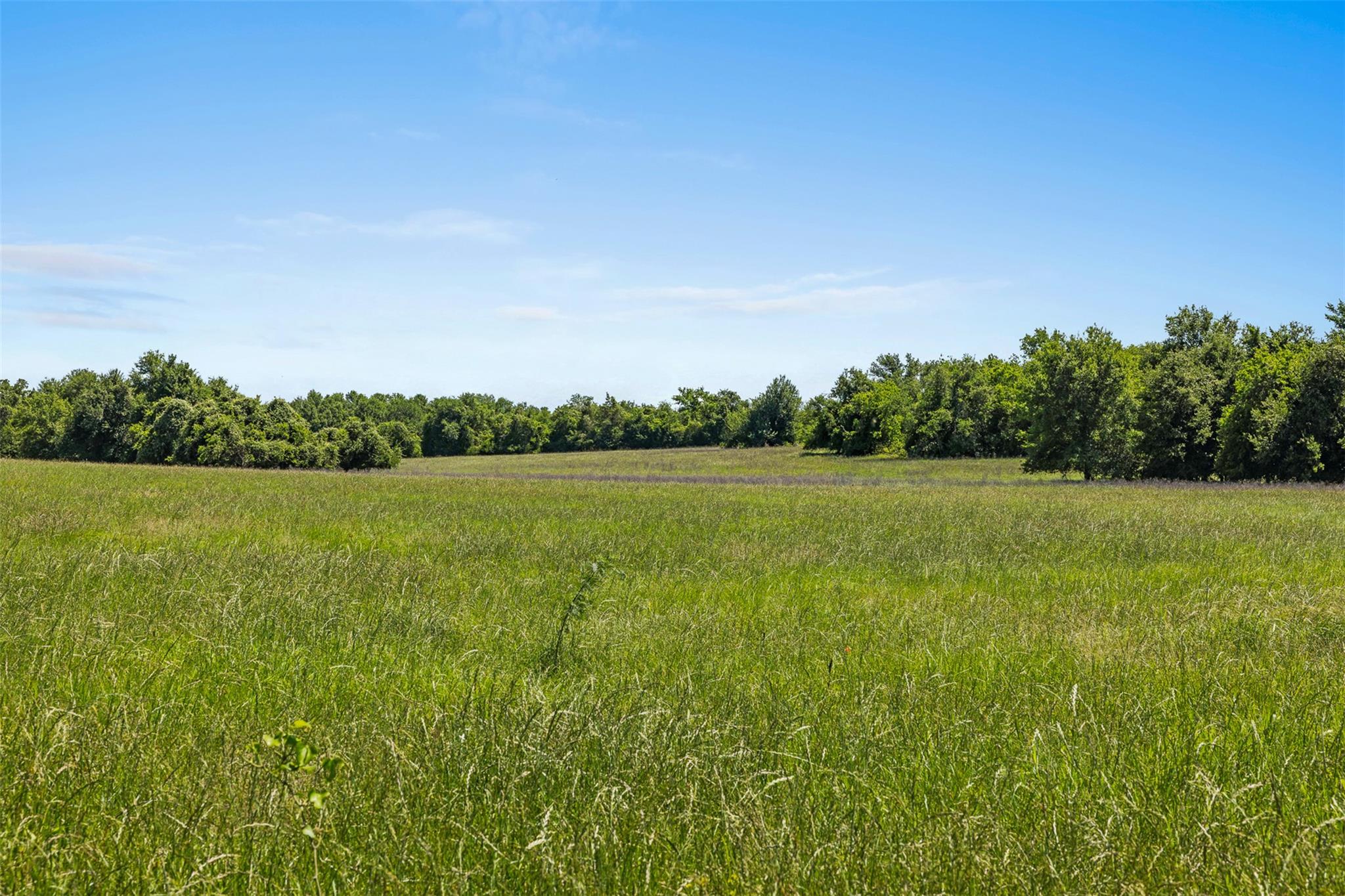 TBD CR 270, Cameron, TX 76520 photo 4
