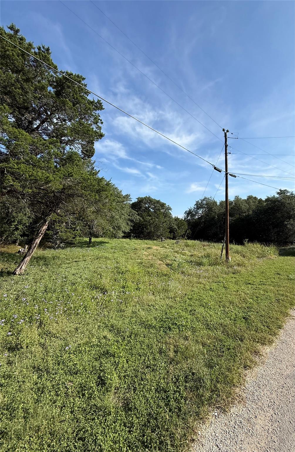 254 Indian CYN, Spring Branch, TX 78070 photo 2