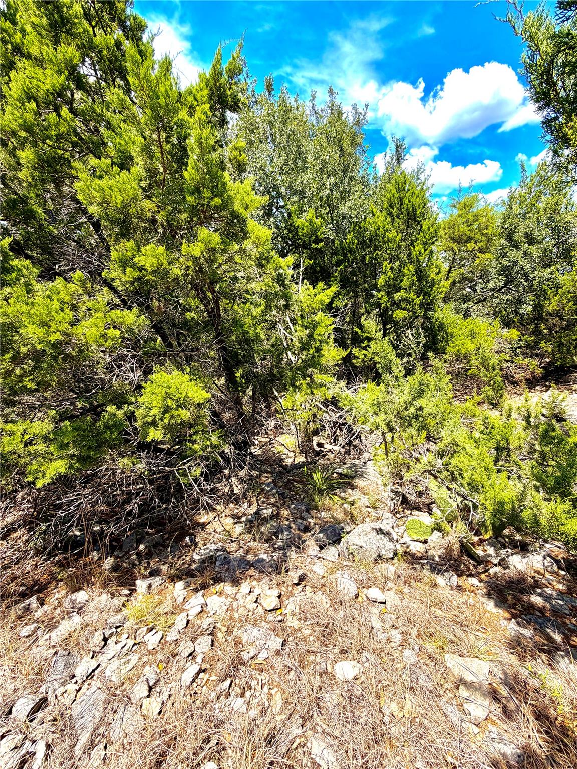 Rancho Del Lago 12