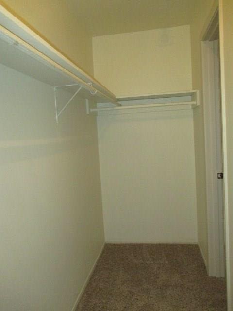312 43 ST #204, Austin, TX 78751 photo 3