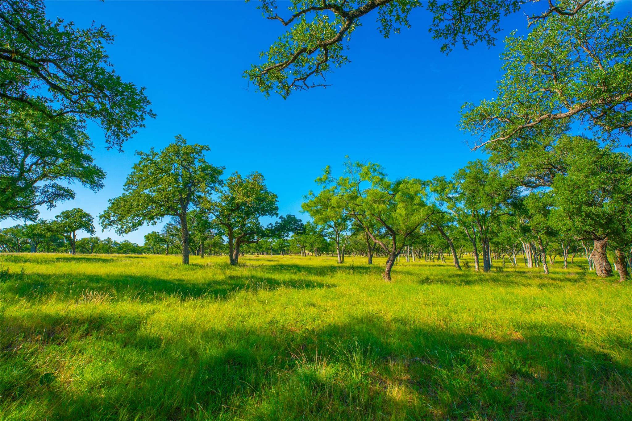 Flat Creek Ranches