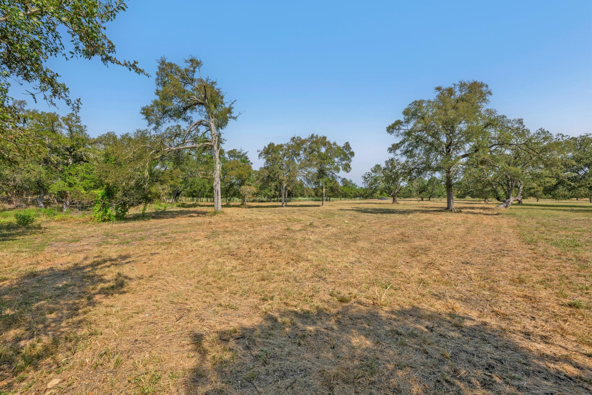 200 Buckskin PASS, Driftwood, TX 78619 photo 3