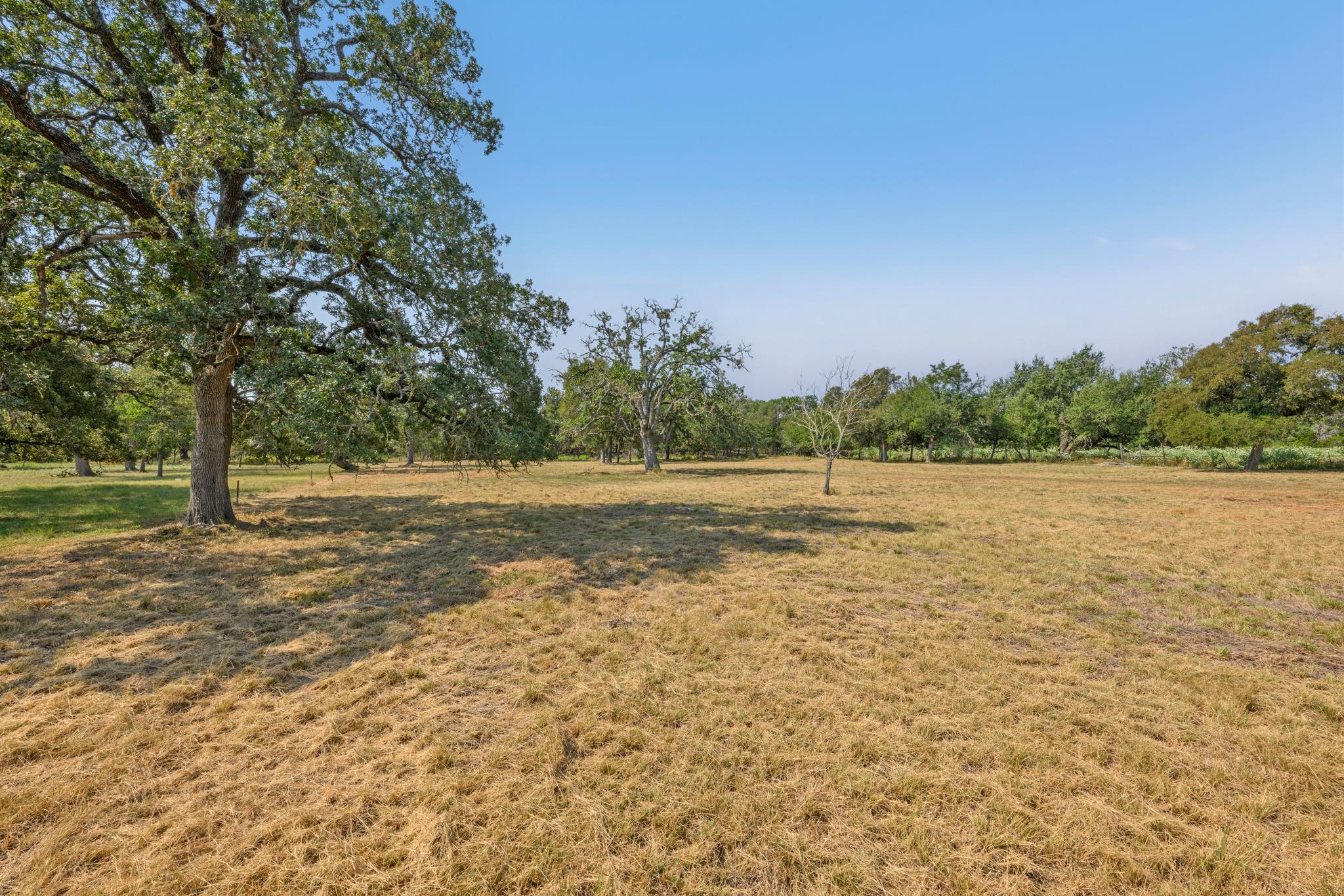 200 Buckskin PASS, Driftwood, TX 78619 photo 5