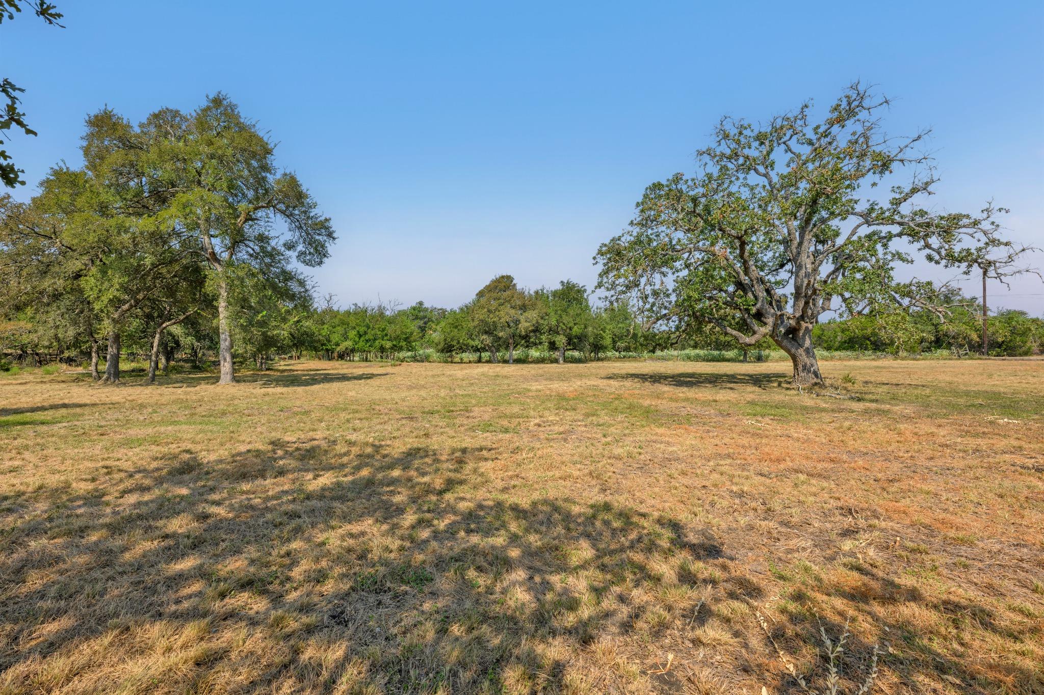 200 Buckskin PASS, Driftwood, TX 78619 photo 4