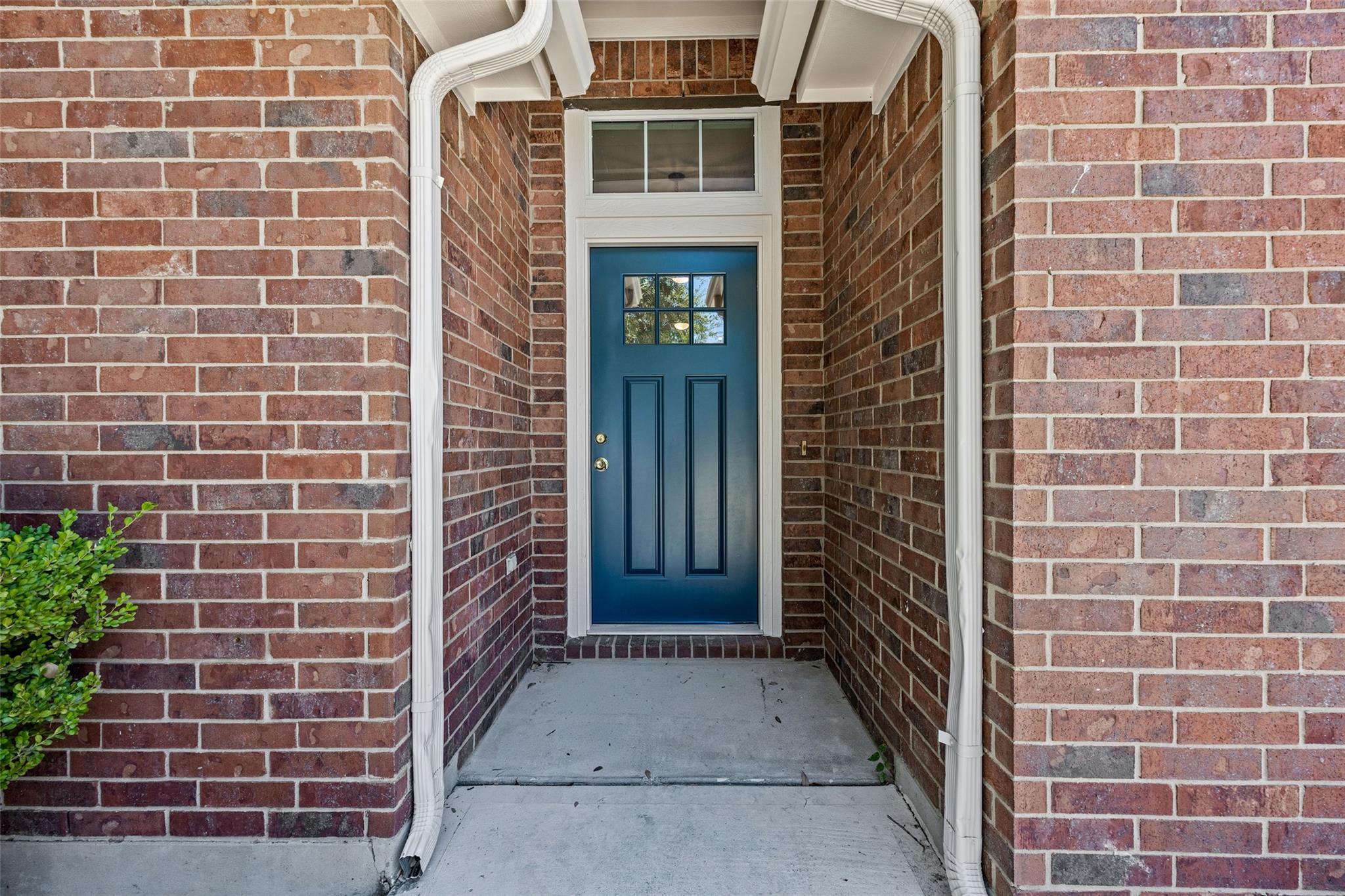 3701 Pine Needle CIR, Round Rock, TX 78681 photo 3