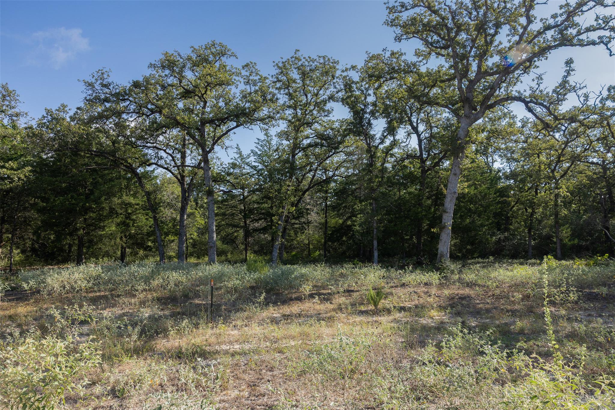 The Ranches at Woodland Trail