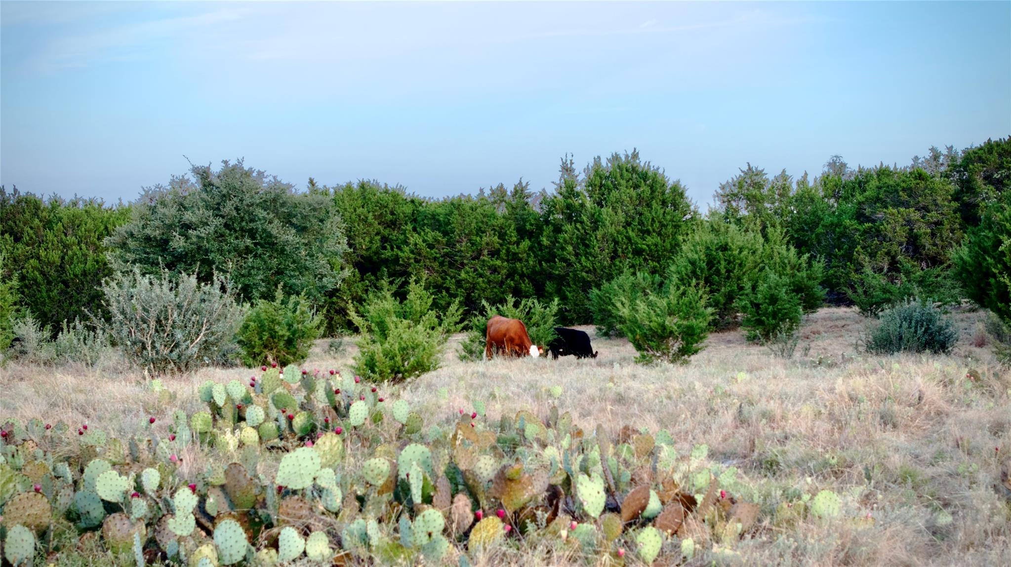 Lot 2A Private Road 1240, Lampasas, TX 76550 photo 2