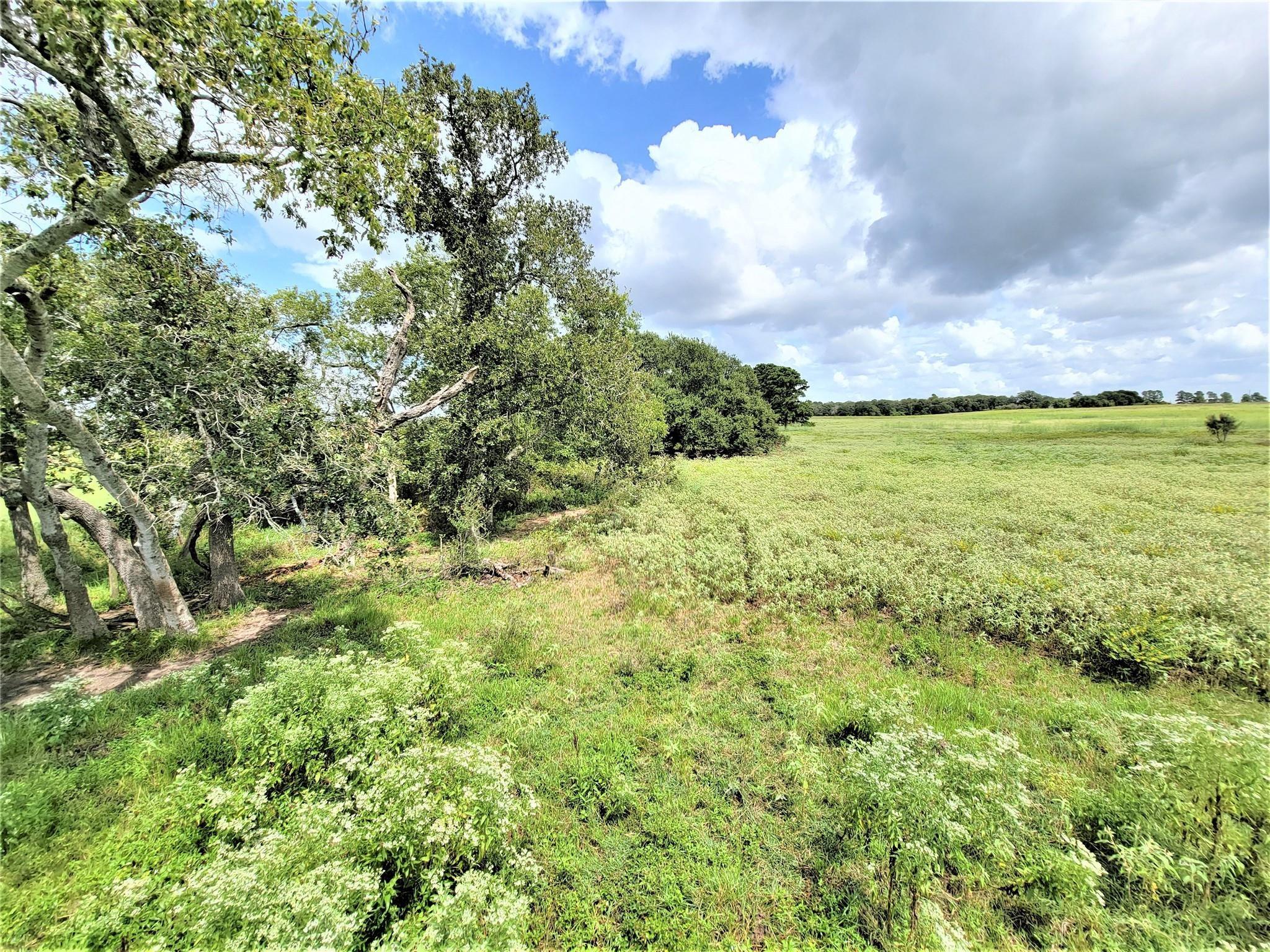 1450 Cattlemens Row #Tract 3, Lockhart, TX 78644 photo 5