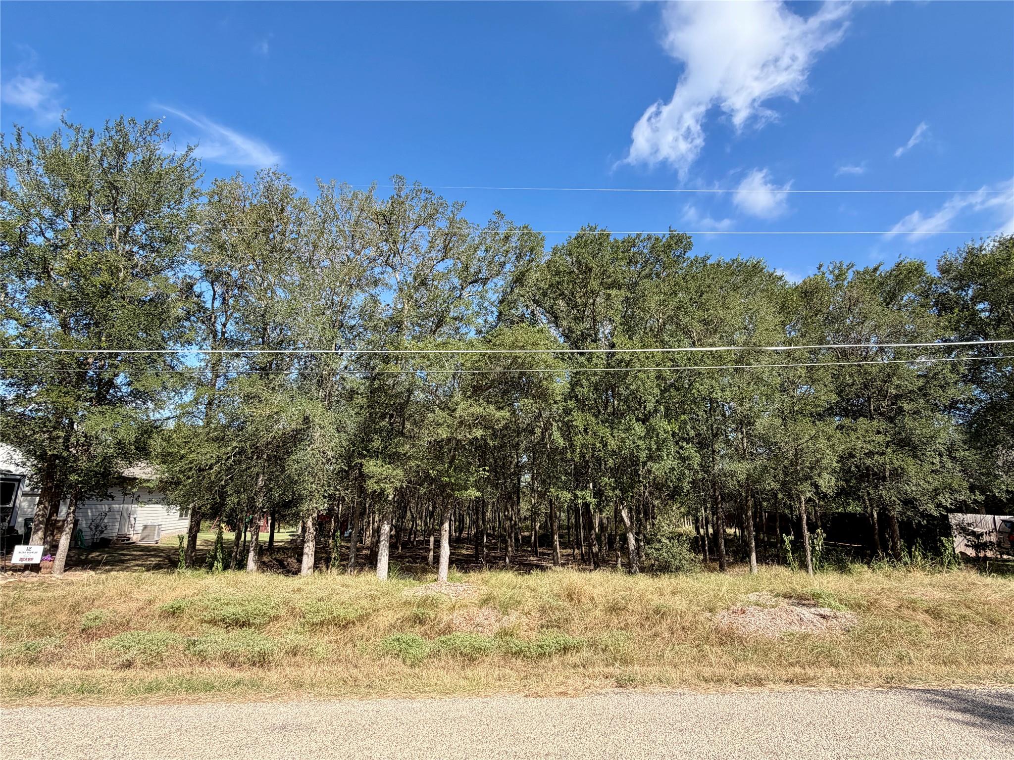 208 Waipahoehoe DR, Bastrop, TX 78602 photo 2
