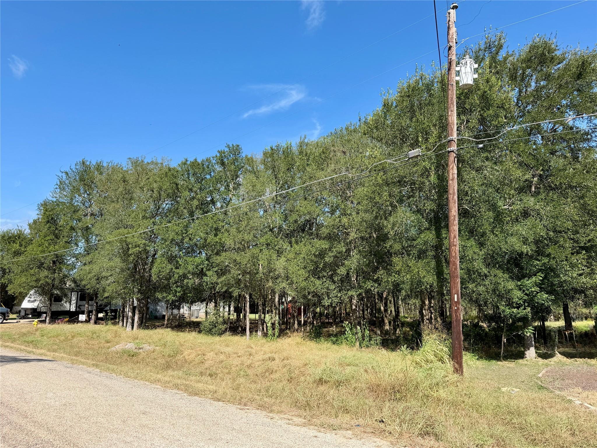 208 Waipahoehoe DR, Bastrop, TX 78602 photo 3