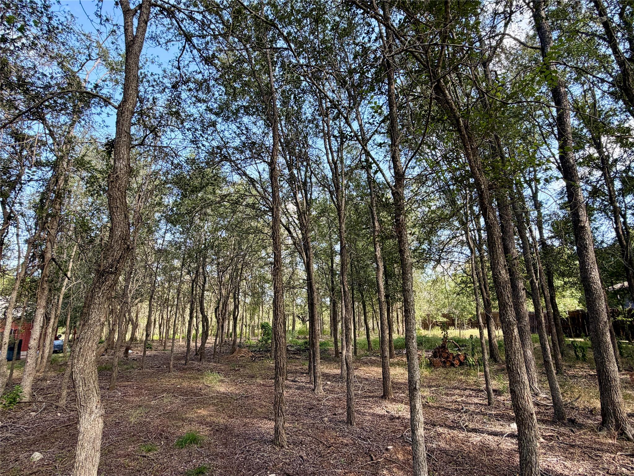 208 Waipahoehoe DR, Bastrop, TX 78602 photo 4