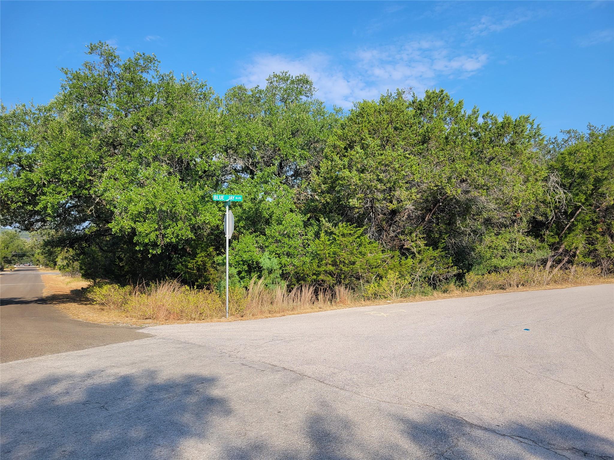21801 Bluejay BLVD, Lago Vista, TX 78645 photo 2
