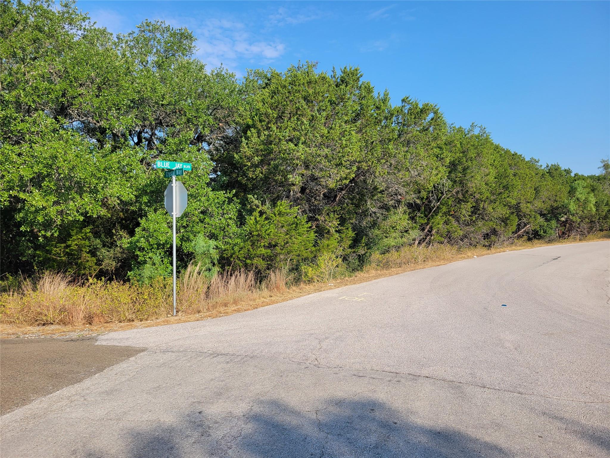 21801 Bluejay BLVD, Lago Vista, TX 78645 photo 3