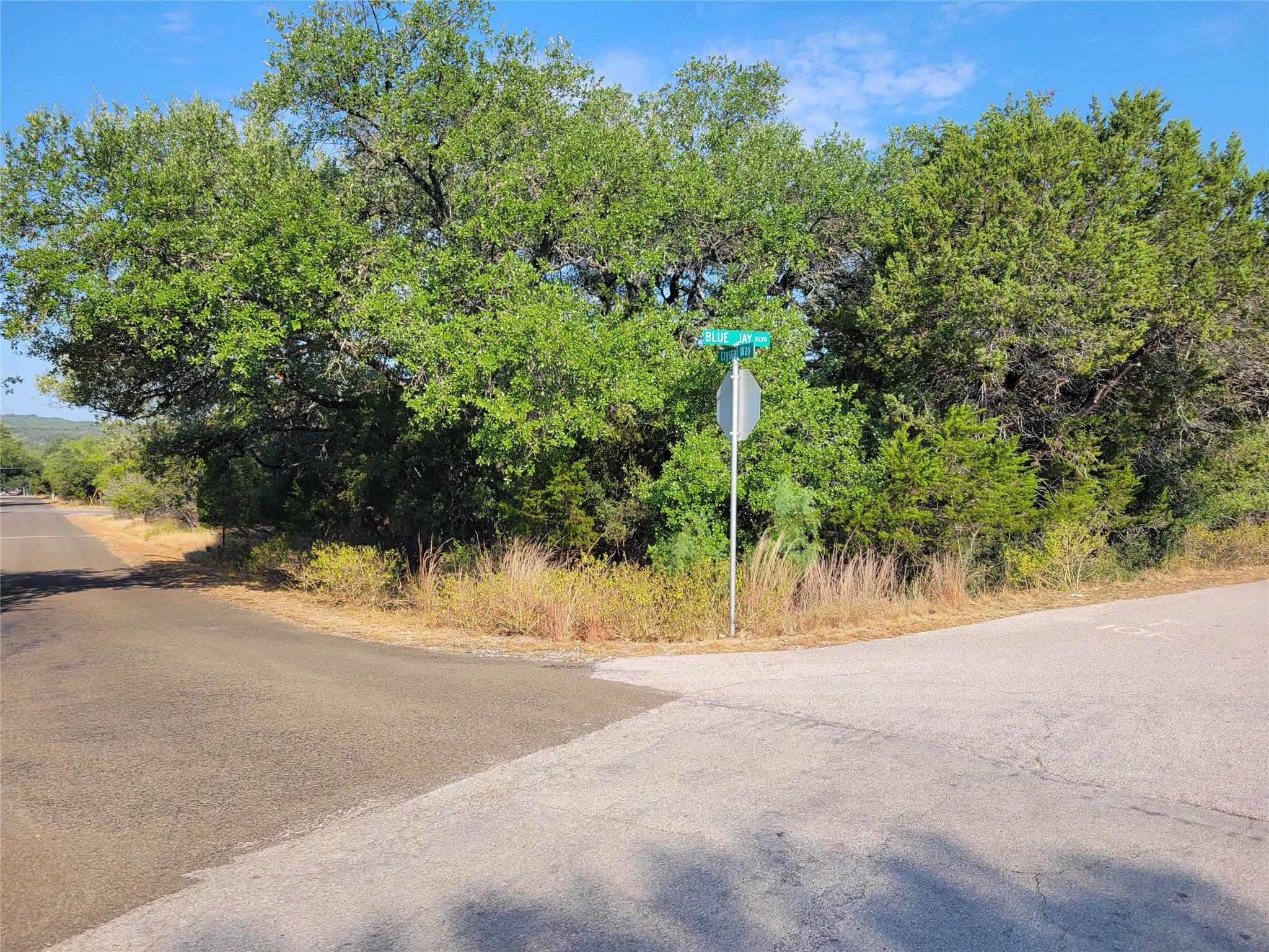 21801 Bluejay BLVD, Lago Vista, TX 78645 photo 4