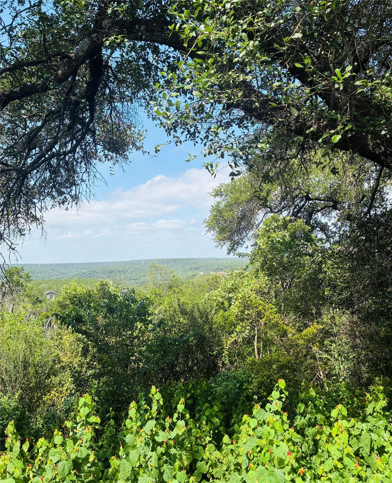 10412 Double Spur LOOP, Austin, TX 78759 photo 2