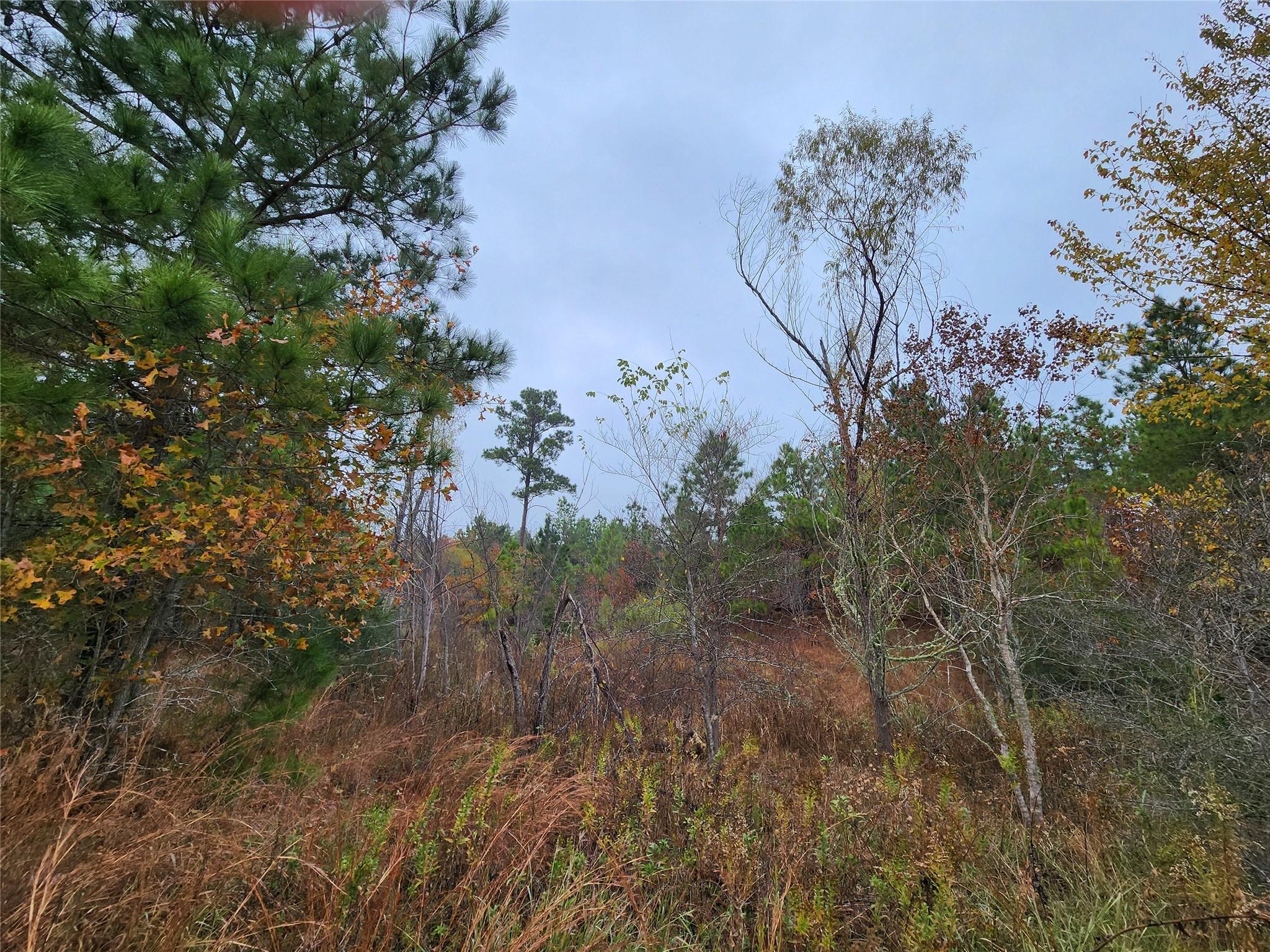 TBD Mahalo CT, Bastrop, TX 78602 photo 2