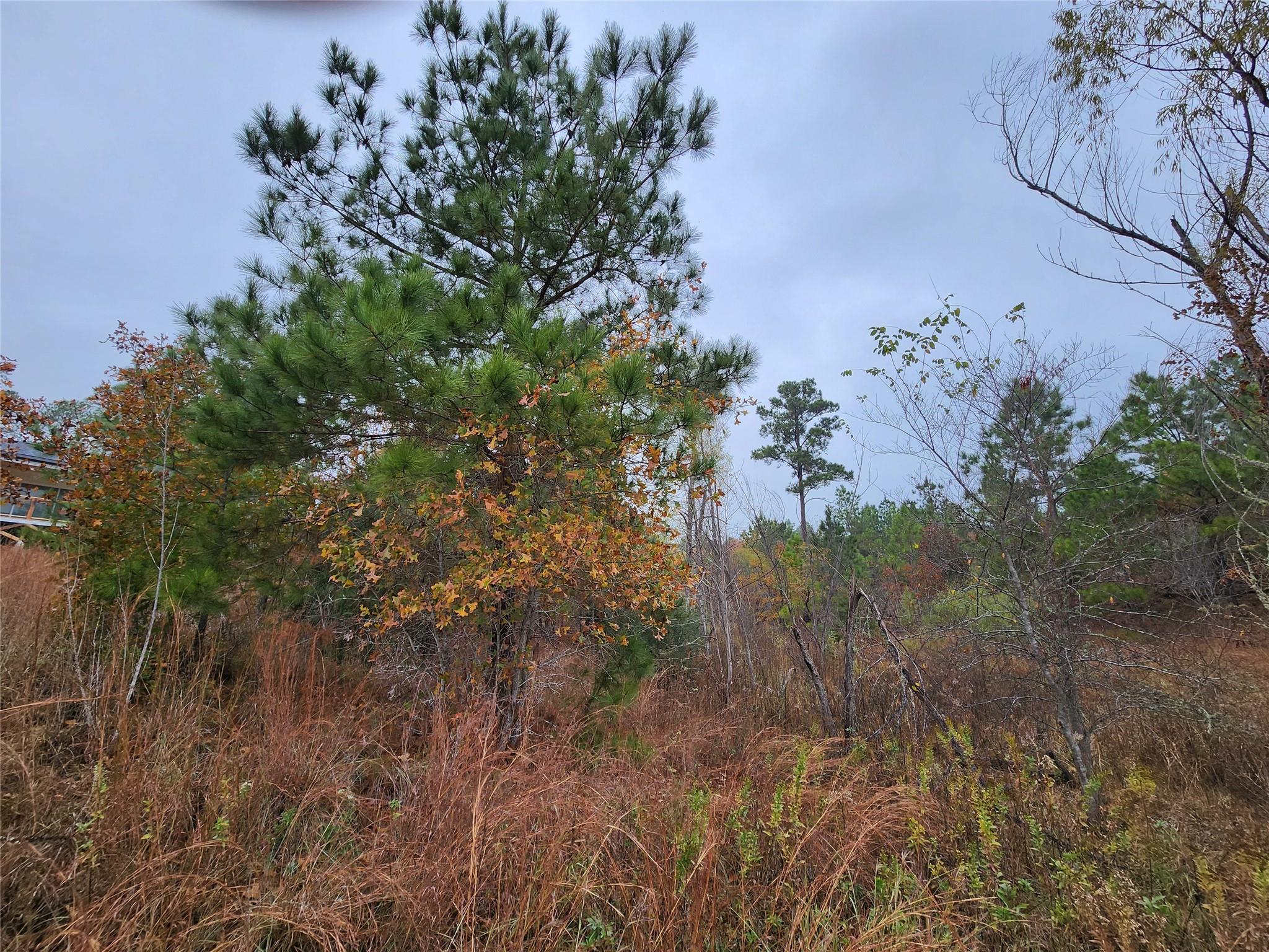 TBD Mahalo CT, Bastrop, TX 78602 photo 3