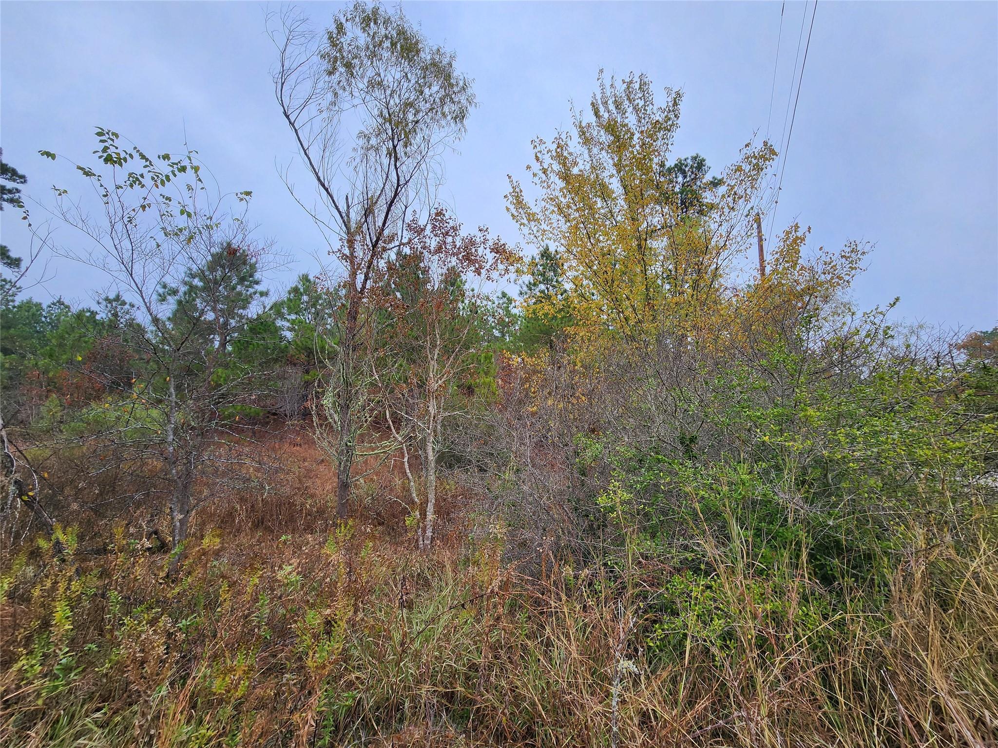 TBD Mahalo CT, Bastrop, TX 78602 photo 5