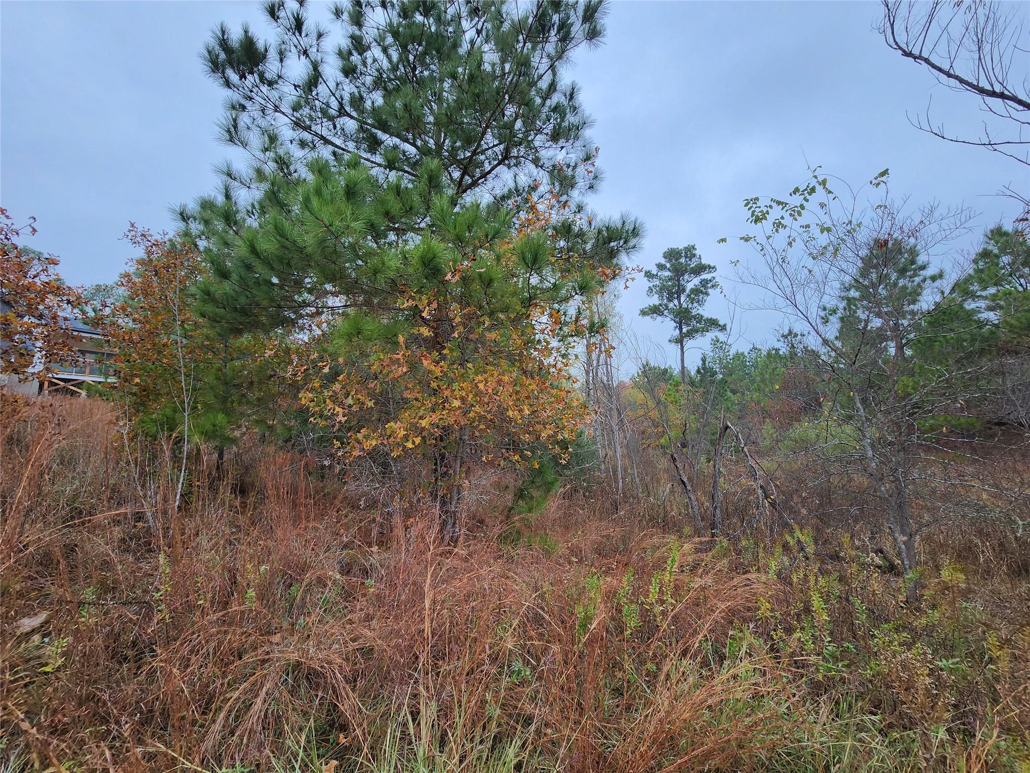 TBD Mahalo CT, Bastrop, TX 78602 photo 4