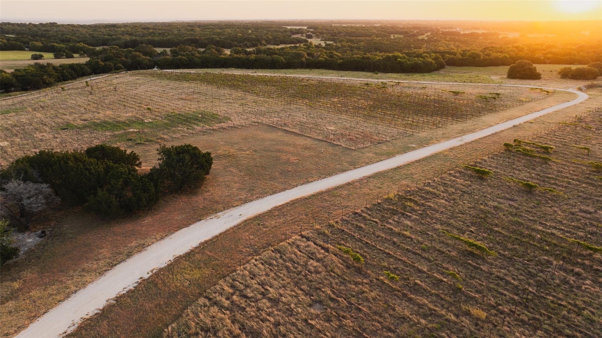 1147 County Road 1110, Meridian, TX 76665 photo 5